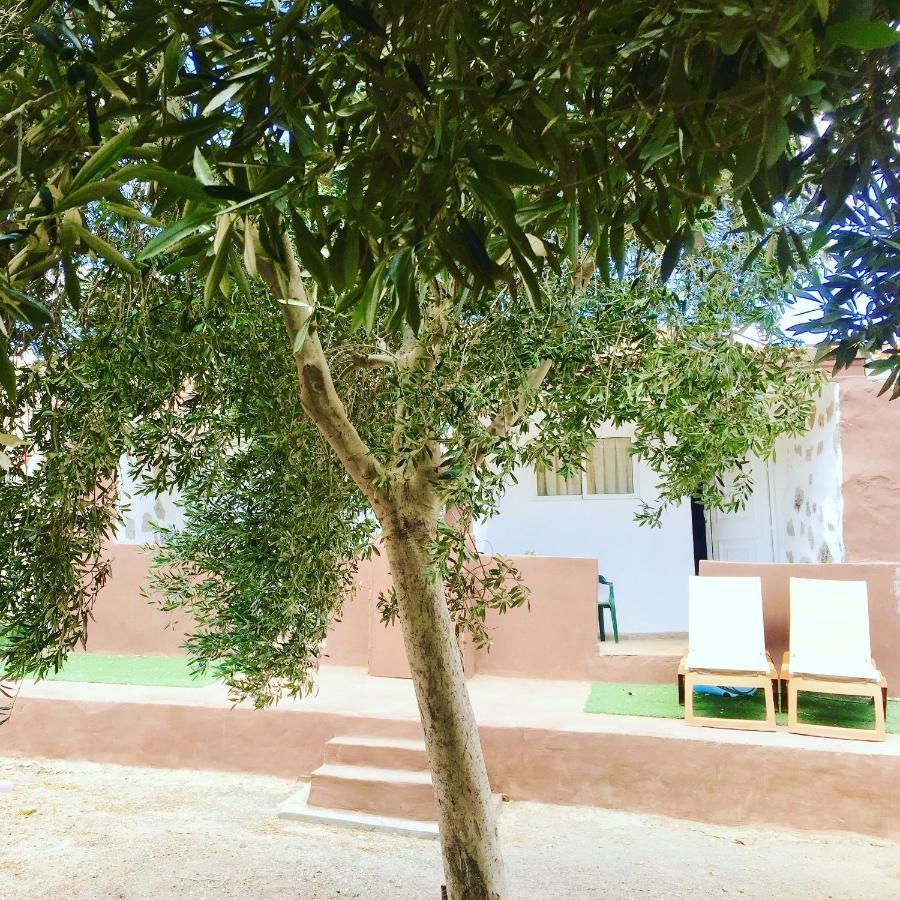 Elysium #Casa La Fuentita, Olivos&Naturaleza Gran Tarajal Esterno foto